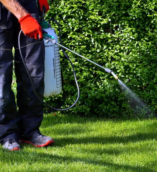 Mosquito & Flea Prevention