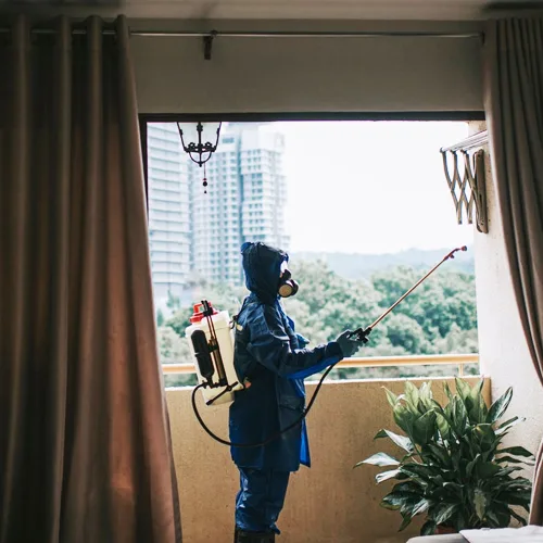 Perimeter pest spray